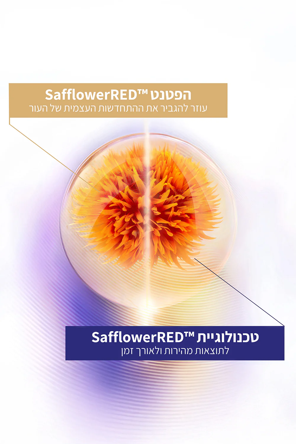קרם יום אנטי אייג'ינג 50 מ"ל | וישי - Image 4