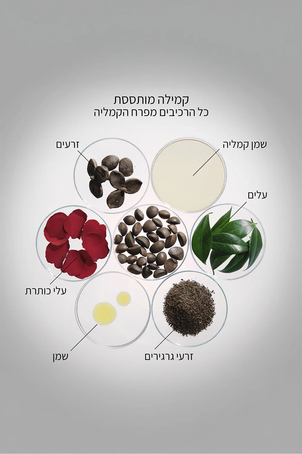 סרום עוצמתי 50 מ"ל ULTIMUNE - Image 4