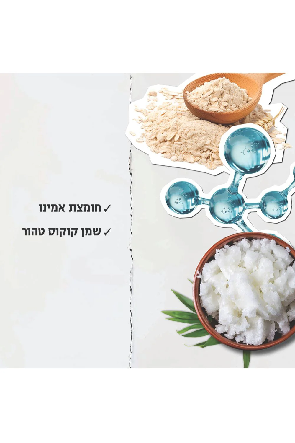 שמפו חומצת אמינו לשיער 500 מ"ל - Image 2