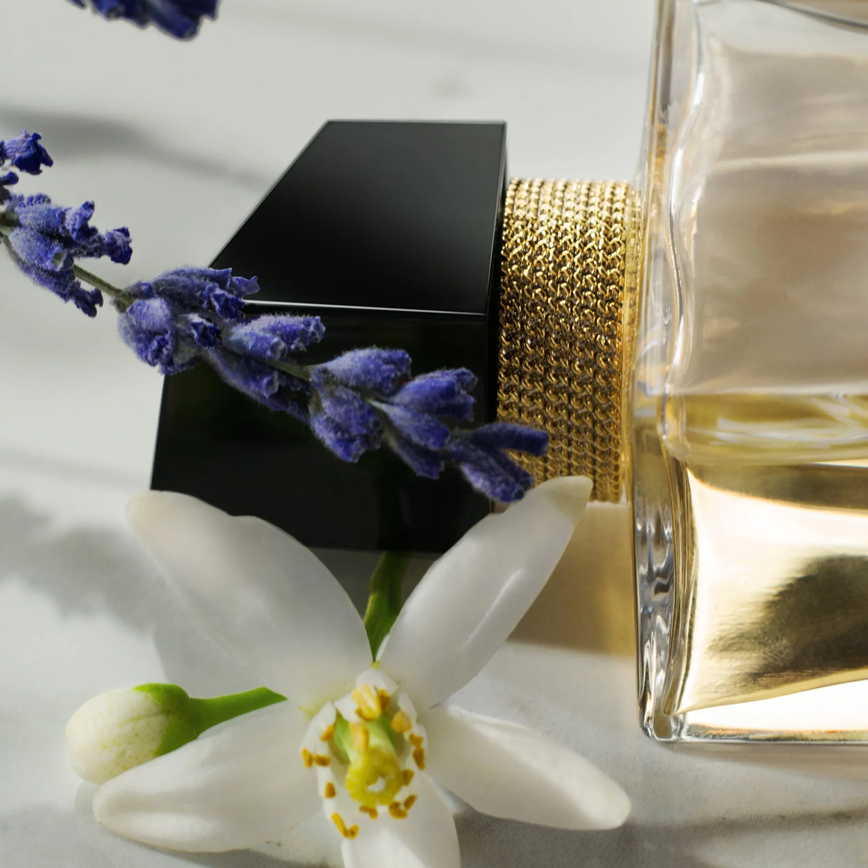 Libre EDP בושם לאשה 90 מ"ל - Image 3