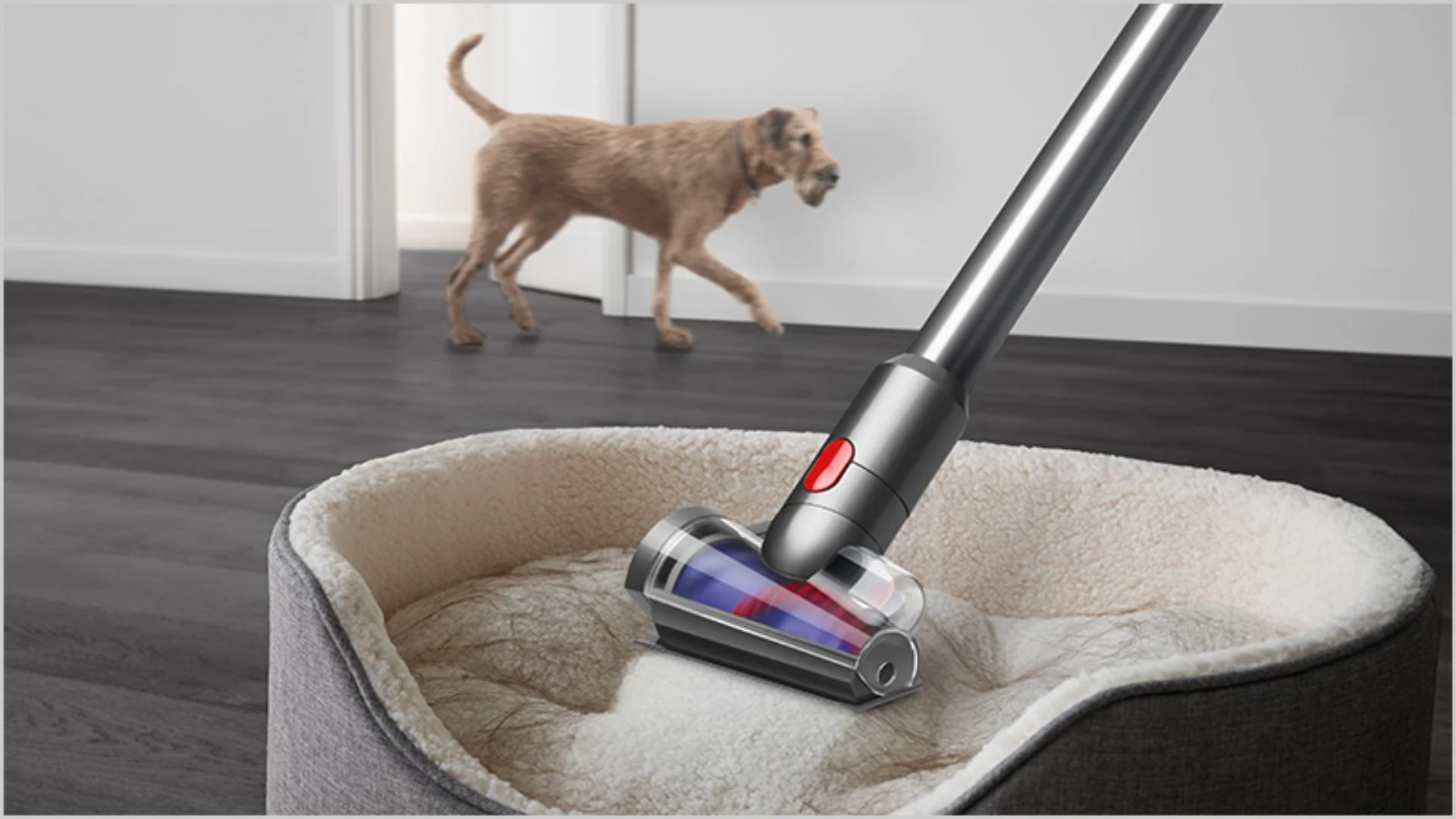 שואב אבק אלחוטי V15 Detect Absolute - Image 6
