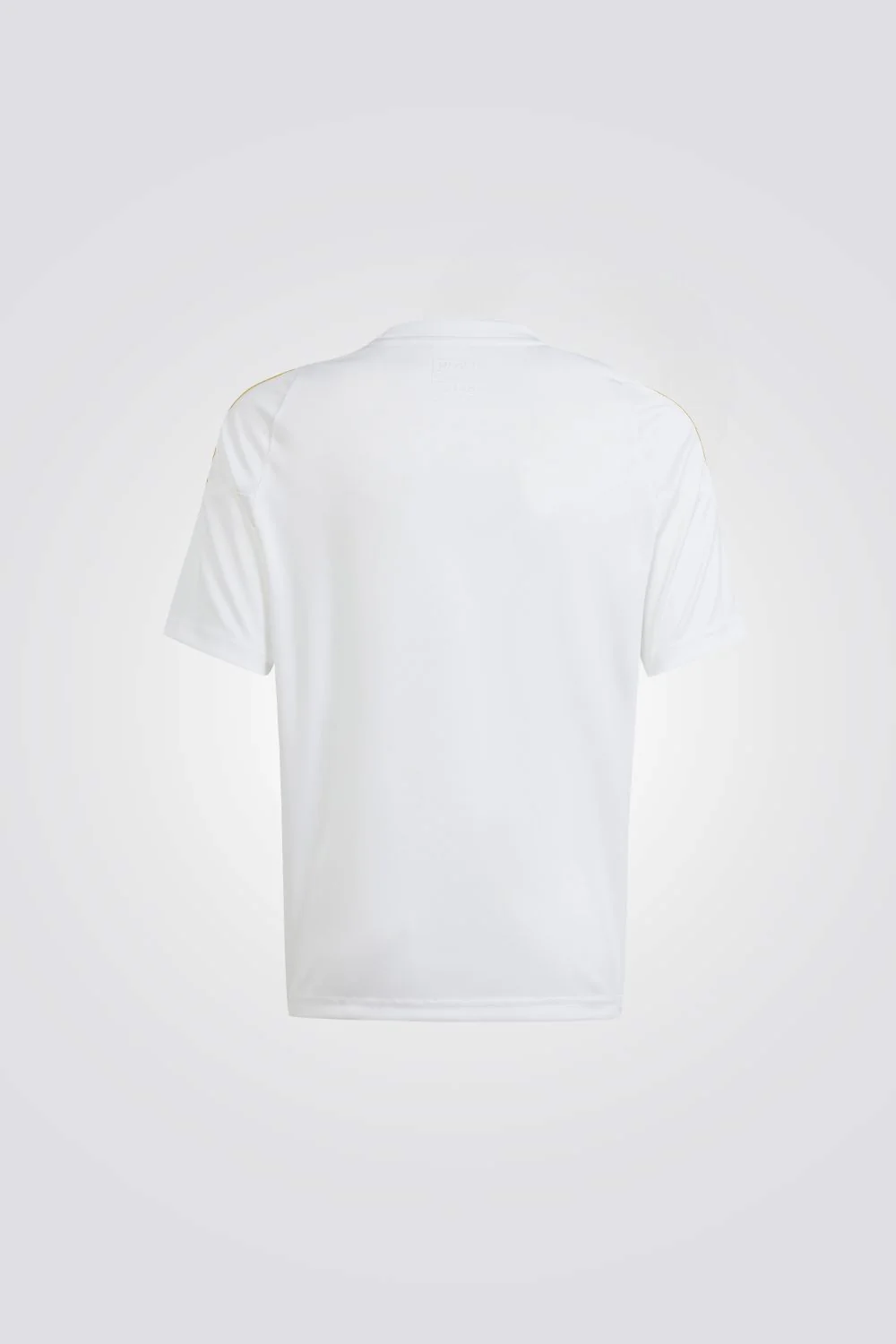 טישירט לילדים PITCH 2 STREET MESSI TRAINING JERSE בצבע לבן ותכלת - Image 2