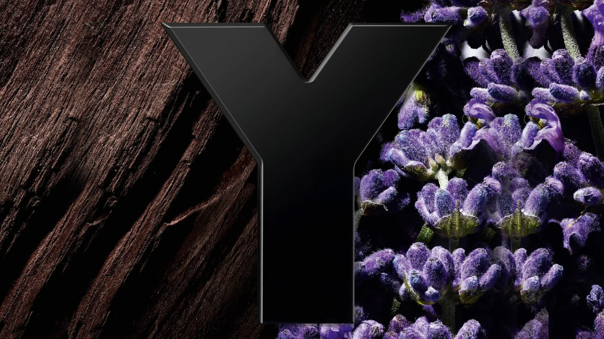 Y LE PARFUM EDP בושם לגבר 100 מ"ל - Image 4
